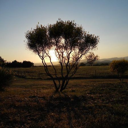 Agriturismo Il Grillo Parlante بيتيجليانو المظهر الخارجي الصورة