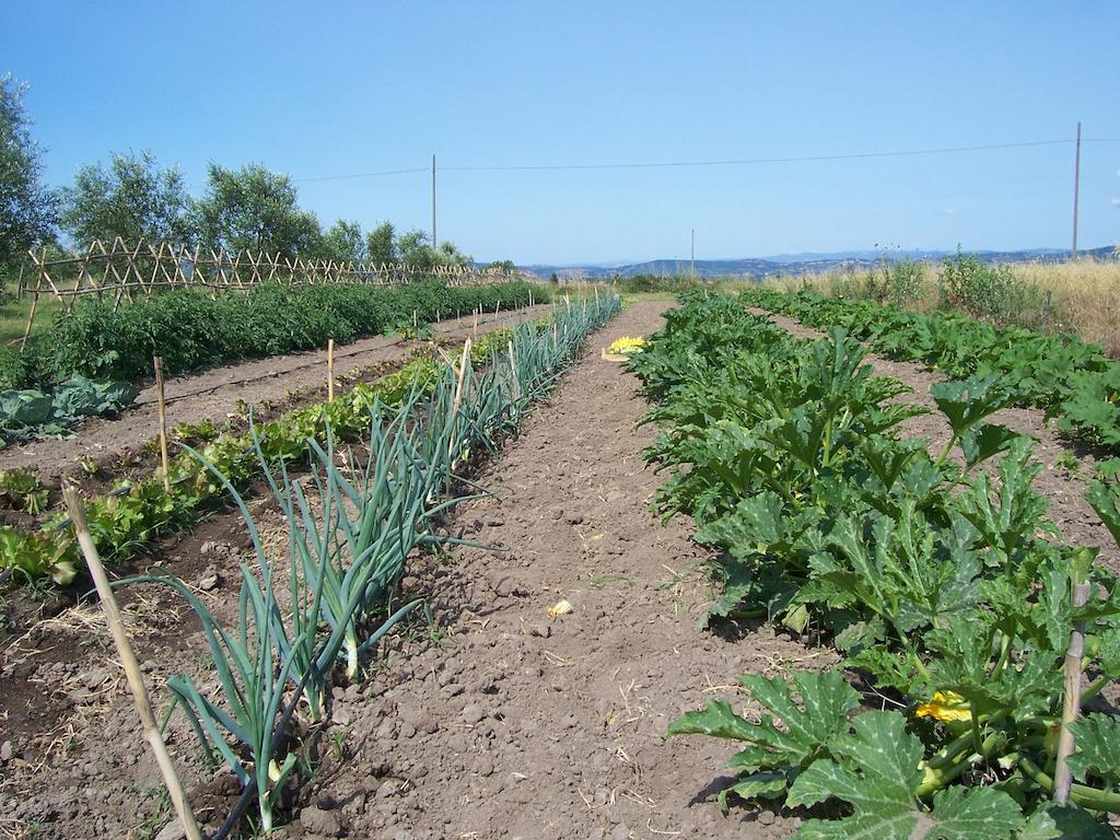 Agriturismo Il Grillo Parlante بيتيجليانو المظهر الخارجي الصورة