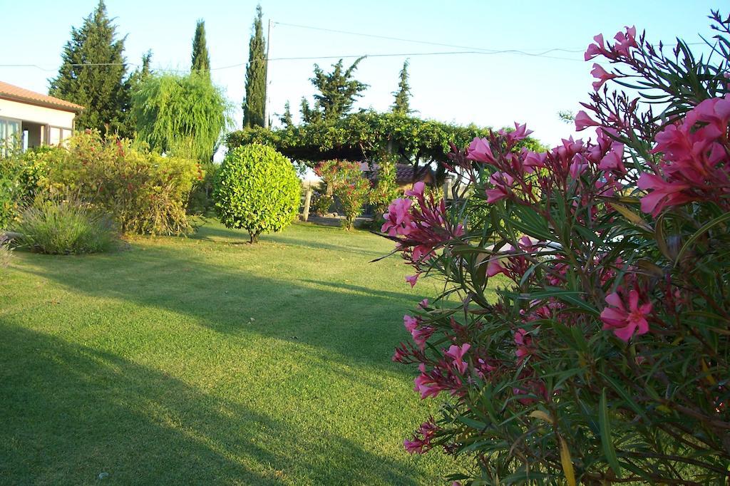 Agriturismo Il Grillo Parlante بيتيجليانو المظهر الخارجي الصورة