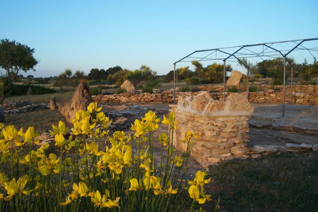 Agriturismo Il Grillo Parlante بيتيجليانو المظهر الخارجي الصورة