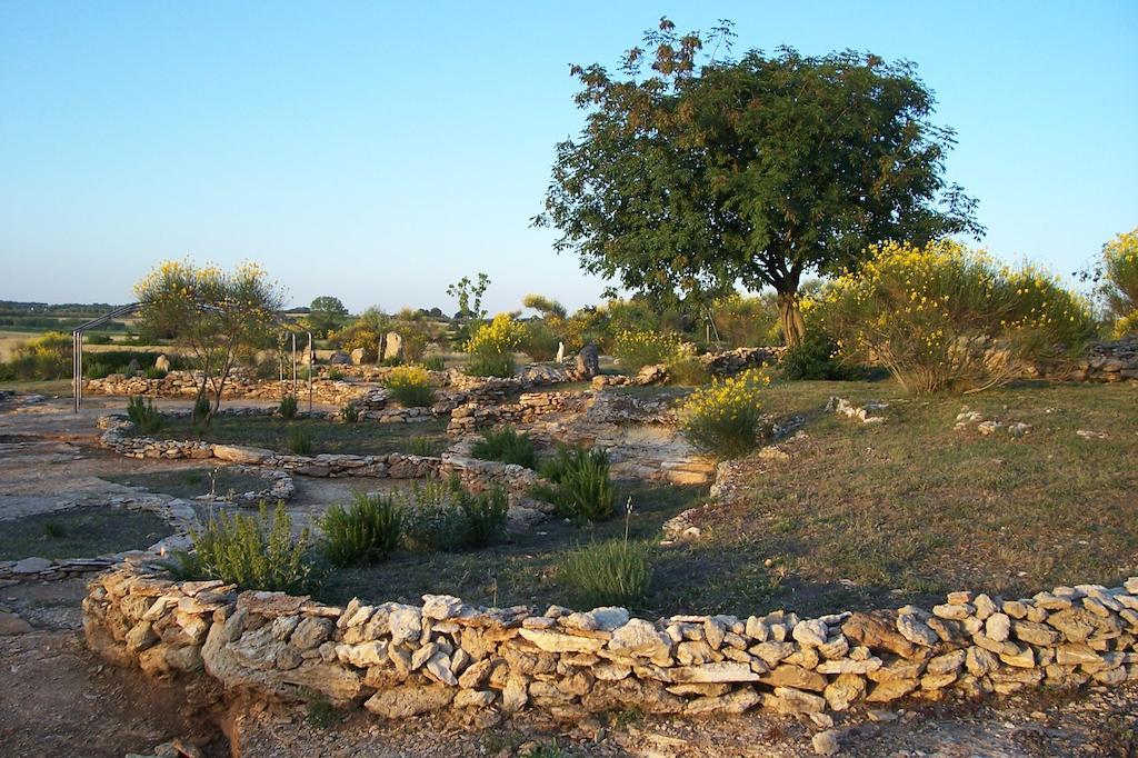 Agriturismo Il Grillo Parlante بيتيجليانو المظهر الخارجي الصورة