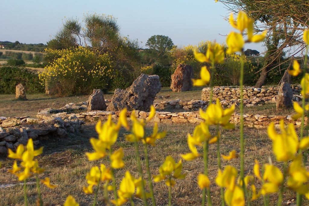Agriturismo Il Grillo Parlante بيتيجليانو المظهر الخارجي الصورة