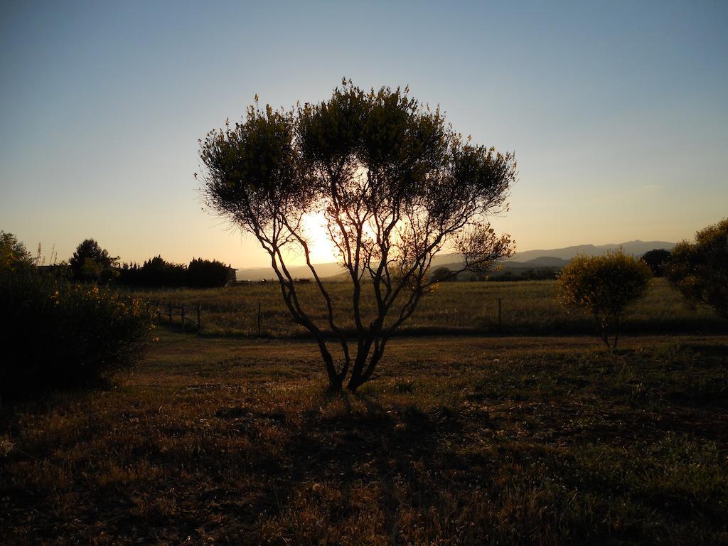 Agriturismo Il Grillo Parlante بيتيجليانو المظهر الخارجي الصورة