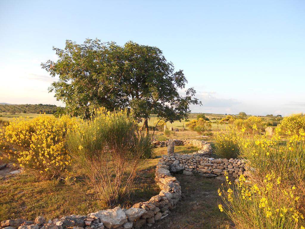 Agriturismo Il Grillo Parlante بيتيجليانو المظهر الخارجي الصورة