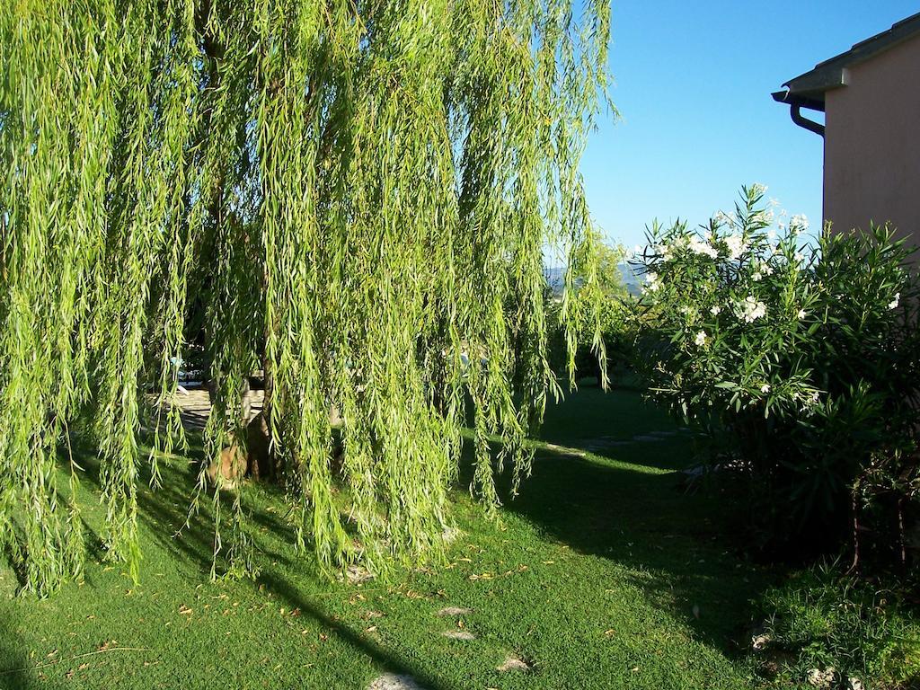 Agriturismo Il Grillo Parlante بيتيجليانو المظهر الخارجي الصورة